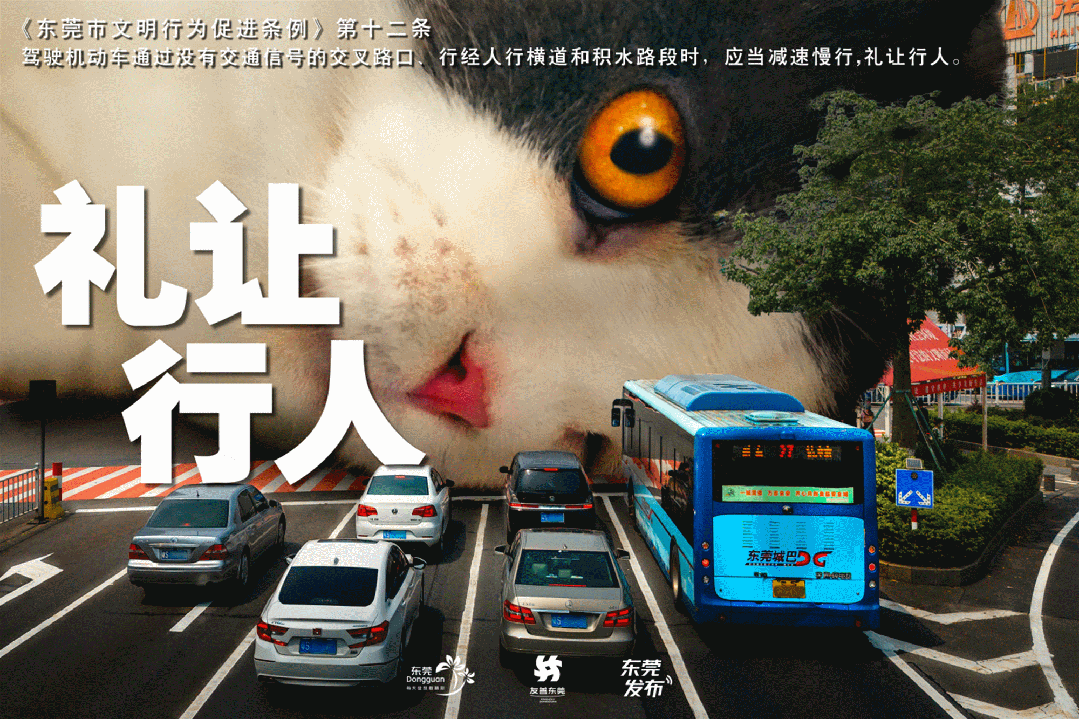 哪里可以找到适合篮球运动员的放松方法?_1