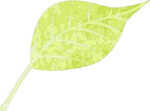 青少年篮球训练总结范文简短_1